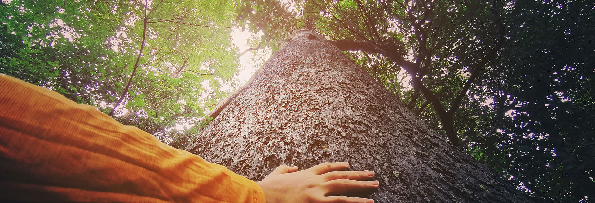 FSC